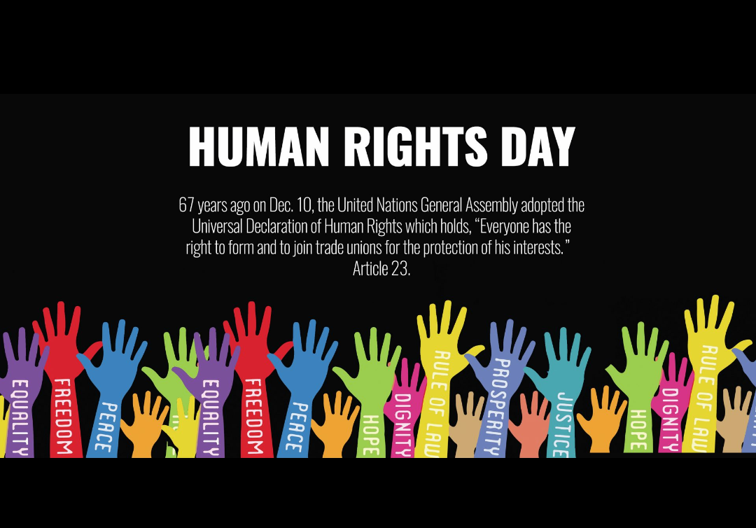 International human rights organizations. Basic Human rights. Rights Day. Human rights Day. Protection of Human rights.