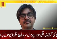 ماہل بلوچ کی گرفتاری جنگی جرم ہے: دل مراد بلوچ سیکریٹری جنرل بی این ایم