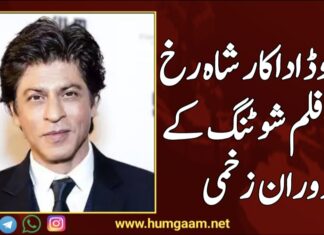 بالی ووڈ اداکار شاہ رخ خان فلم شوٹنگ کے دوران زخمی