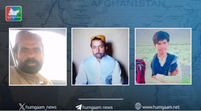 قلات، کمسن نوجوان سمیت 3 افراد فورسز کے ہاتھوں حراست کے بعد لاپتہ
