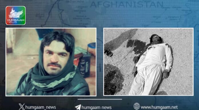 ہرنائی، مختلف اوقات میں فائرنگ سے 2 بدنام زمانہ مخبر ہلاک