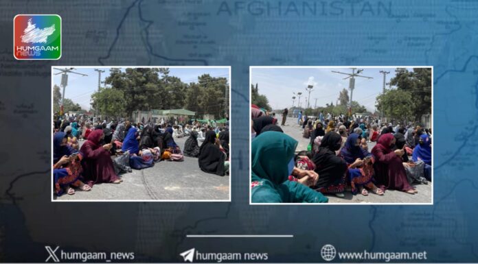 28 جولائی کو گوادر میں ہونے والا بلوچ راجی مچُی آج پورے بلوچستان میں پھیل چکا ہے