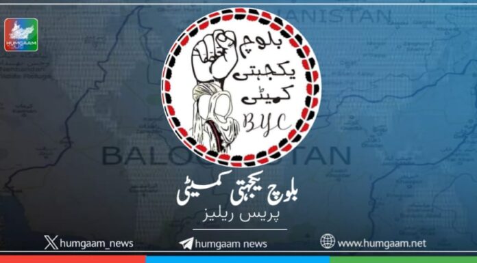 ریاست پاکستان بلوچستان میں درندگی اور وحشت کی تمام حدیں پار کر رہی ہے۔ بلوچ یکجہتی کمیٹی