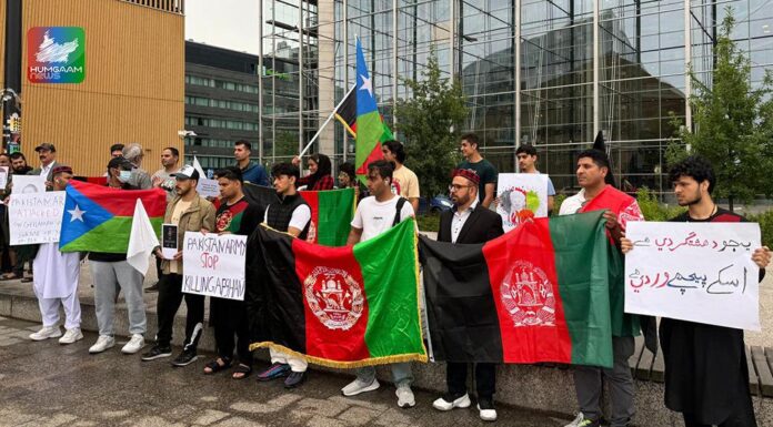 فن لینڈ : پاکستانی فوجی آپریشن عزمِ استحکام کیخلاف میں ایف بی ایم و پی ٹی ایم کا مشترکہ احتجاج