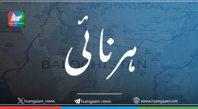 ہرنائی، مسلح افراد کے حملے میں موبائل ٹاور تباہ