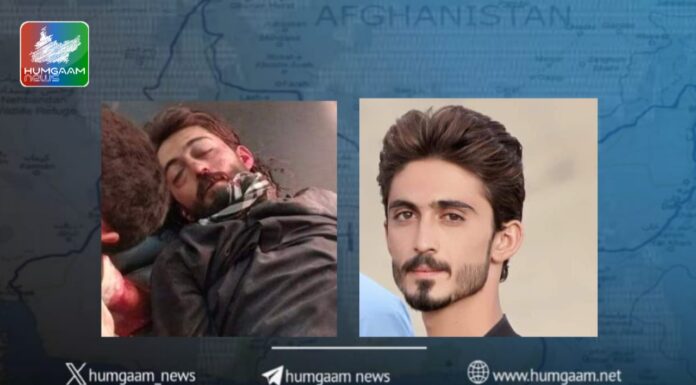 نوشکی، بلوچ یکجھتی کمیٹی کے پرامن ریلی پر قابض پاکستانی فورسز کی اندھا دھند فائرنگ، 1 شہید متعدد زخمی