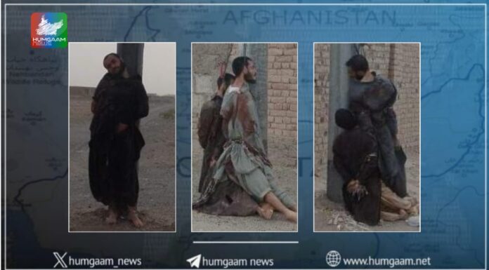 دالبندین میں بجلی کھمبو سے لٹکی پانچ لاشیں برآمد