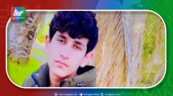 جنوبی رودبار میں نامعلوم مسلح افراد کی فائرنگ سے ایک نوجوان جانبحق تین زخمی