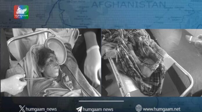 خاران، شدید بوکھلاہٹ کا شکار ایف سی نے کیمپ سے منسلک گھر پر دیسی ساختہ بم پہنکا ہے، دھماکے میں ایک بچہ شہید