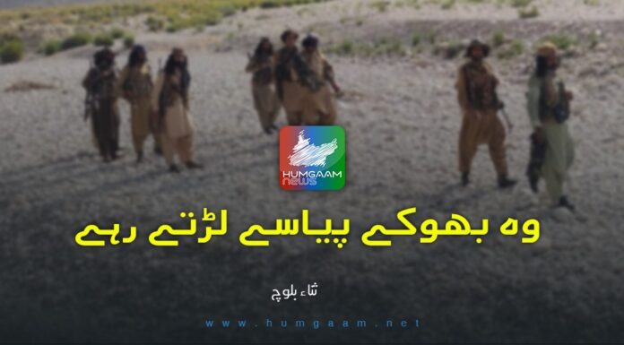 وہ بھوکے پیاسے لڑتے رہے۔ تحریر: ثناء بلوچ
