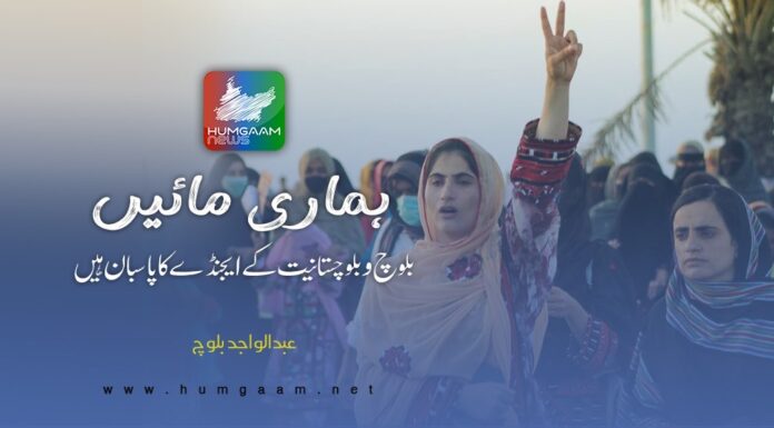 ہماری مائیں بلوچ و بلوچستانیت کے ایجنڈے کا پاسبان ہیں۔ تحریر: عبدالواجد بلوچ