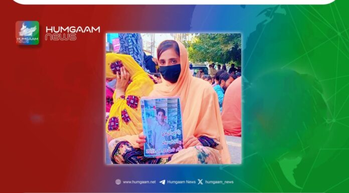 میرے بھائی کی گمشدگی کے حوالے سے زمہ داران کی غیر سنجیدگی باعث افسوس ہے اور کربناک ہے۔ ہمشیرہ ڈاکٹر عبدالحئی بلوچ