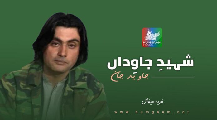 شہیدِ جاوِداں، جاوید جان، تحریر: فرید مینگل