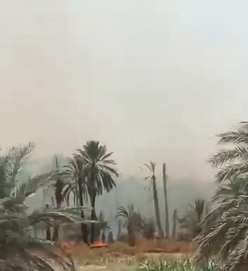 سراوان شہر کے زیارت گاؤں میں باغات اور کھیتوں میں آتش زدگی