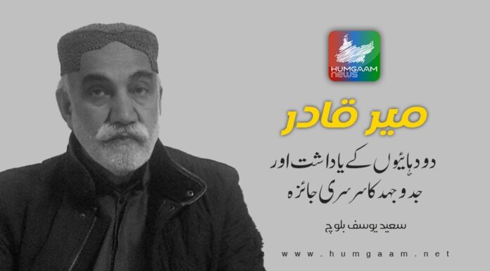 میر قادر ،دو دہائیوں کے یاداشت اور جدوجہدکا سرسری جائزہ۔ تحریر: سعید یوسف بلوچ