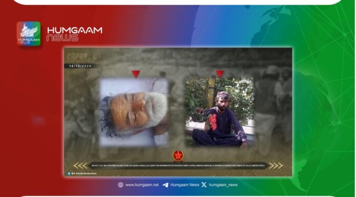 قلات کے مختلف علاقوں میں فائرنگ کرکے مخبر خیر جان لہڑی اور مخبر نیاز اللہ لہڑی کو ہلاک کیا۔ بی ایل اے