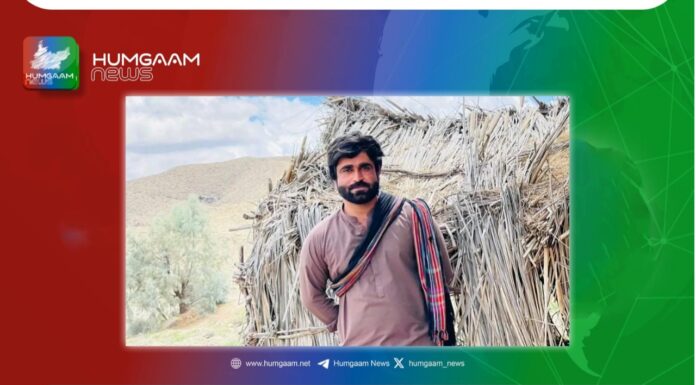 خضدار کے علاقے کوڈاسک نال سے علی حیدر بلوچ قابض فورسز کے ہاتھوں لاپتہ