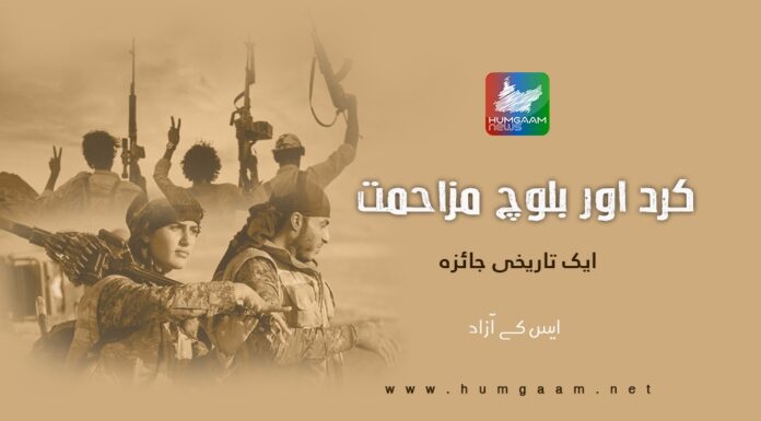 کرد اور بلوچ مزاحمت،ایک تاریخی جائزہ۔ تحریر: ایس کے بلوچ