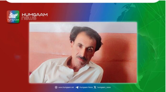 بی ایل ایف شفیع محمد یلانزئی کے قتل کا وضاحت دے۔ لواحقین
