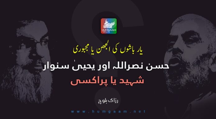 یار باشوں کی الجھن یا مجبوری، حسن نصراللہ اور یحیی سنوار، شہید یا پراکسی۔ تحریر: رزاک بلوچ