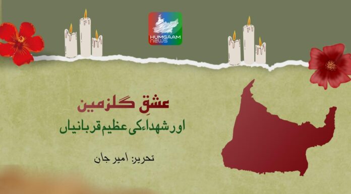 عشقِ گلزمین اور شہداء کی عظیم قربانیاں۔امیر جان
