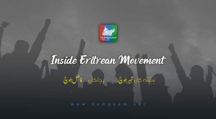 Inside Eritrean Movement۔ نِبشتہ کار: شبیر بلوچ/ رجانکار: فاضل بلوچ