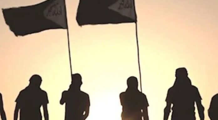 پاکستانی و ایرانی مشترکہ فضائی حملوں میں تنظیم کے 12 اہلکار مارے گئے، چار زخمی ۔ جیش العدل