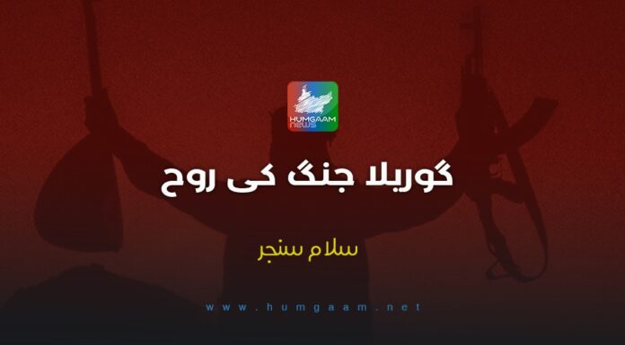 گوریلا جنگ کی روح