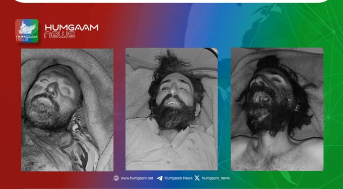 سبزکوہ میں قابض پاکستانی آرمی اور سرمچاروں کے درمیان جھڑپوں کی اطلاعات، تین لاشیں پنجگور ہسپتال میں منتقل