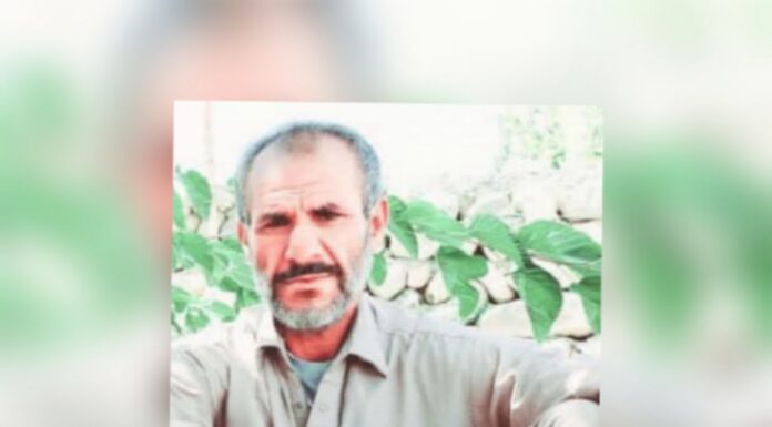 خاش، چوروں کی فائرنگ سے چرواہا جانبحق