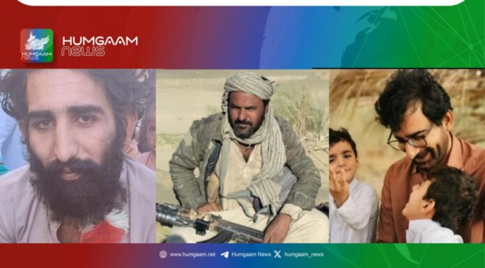 سبز کوہ جھڑپ میں شہید سرمچاروں کی نماز جنازہ ان کے آبائی علاقوں میں ادا کردی گئیں