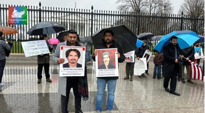 امریکا میں بی این ایم کے نئے چیپٹر کی تشکیل ، تین یونٹ قائم کیے گئے، آئندہ اجلاس میں عہدیداروں کا چناؤ ہوگا۔