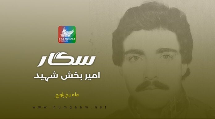سگار امیر بخش شہید ۔ ماہ رخ بلوچ