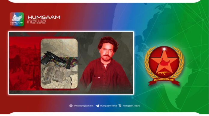 قلات نرمک میں مخبر قادر بخش کو ہلاک کرنے کی ذمہ داری قبول کرتے ہیں۔ بی ایل اے