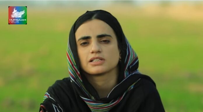 نوبل امن انعام کے لیے ڈاکٹر مہرنگ بلوچ کی نامزدگی