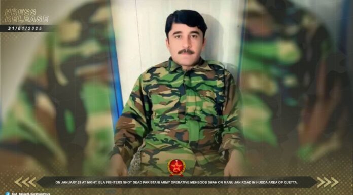 کوئٹہ میں فوجی کارندے محبوب شاہ کو فائرنگ کرکے ہلاک کیا۔ بی ایل اے