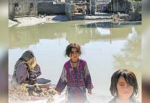 بلوچستان کے جنوبی علاقوں میں ڈینگی بخار کا وسیع پیمانے پر پھیلاؤ میں اصافہ