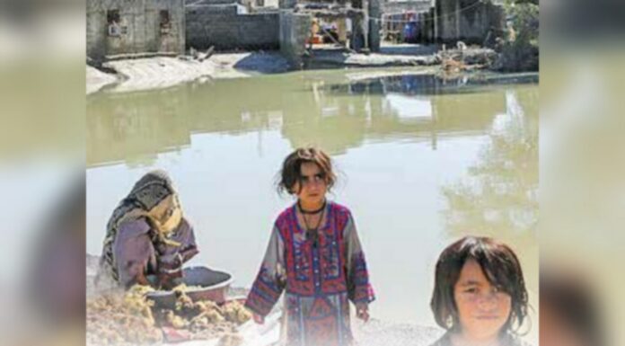 بلوچستان کے جنوبی علاقوں میں ڈینگی بخار کا وسیع پیمانے پر پھیلاؤ میں اصافہ