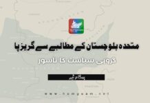 متحدہ بلوچستان کے مطالبے سے گریز پا ،گروہی سیاست کا ناسور۔ ہمگام ٹیم