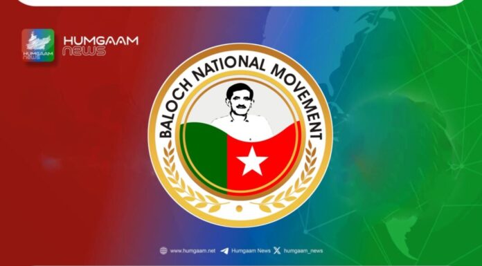 جنیوا میں جبری گمشدگیوں پر پہلی عالمی کانگریس ، بی این ایم شرکت کرئے گی