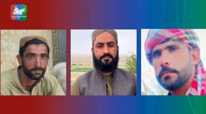 شال،چار میں سے دو افراد کی شناخت لاپتہ افراد کے طور پر ہوگئی،آواران سے ایک جبری لاپتہ شخص کی مسخ شدہ نعش برآمد