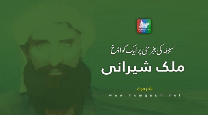 لسبیلہ کی بنجر مٹی پر ایک گواڈخ، ملک شیرانی۔ نادر مری