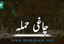 چاغی: لیویز فورس کی چوکی پر مسلح افراد کا حملہ، اسلحہ ضبط