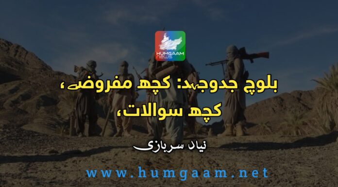 بلوچ جدوجہد: کچھ مفروضے، کچھ سوالات، نیاد سربازی