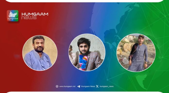 کوئٹہ سمیت مقبوضہ بلوچستان کے مختلف علاقوں سے دوبھائیوں سمیت 4 افراد جبری لاپتہ ایک بازیاب