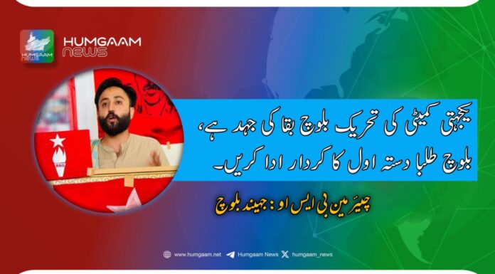 یکجہتی کمیٹی کی تحریک بلوچ بقا کی جہد ہے، بلوچ طلبا دستہ اول کا کردار ادا کریں، چیئرمین بی ایس او جئیند بلوچ