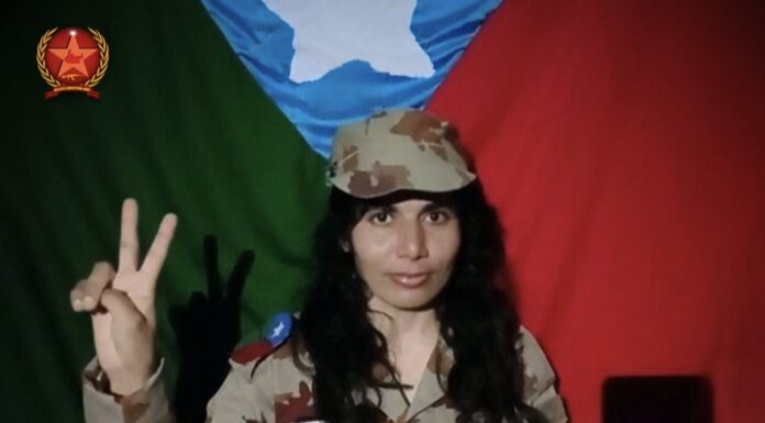 بی ایل اے کی طرف وطن ندریگ شہید ماہکان کی آڈیو جاری کردی گئی۔
