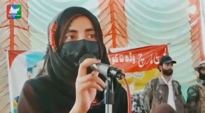 ڈاکٹر ماہ رنگ بلوچ، بیبرگ بلوچ، شاہ جی اور بیبو کے لیے آواز اٹھائیں۔ ماہ رنگ کی بہن کا دھرنے سے خطاب