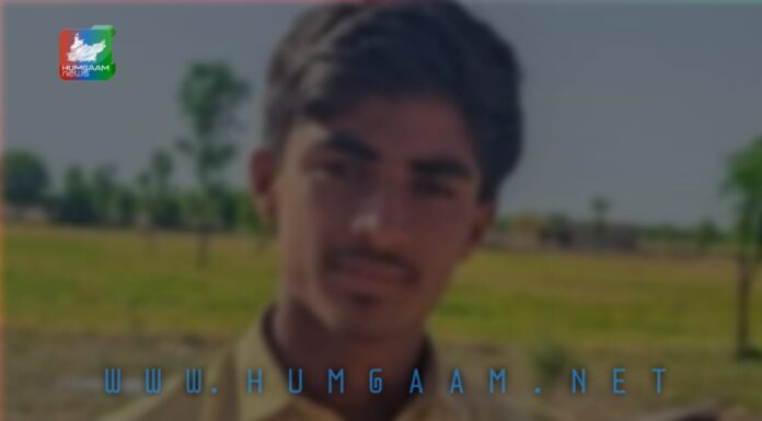 نصیر آباد مسلح افراد نے پولیس چوکی سامنے چرواہے کو قتل کر کے ریوڑ ہانک کر لے گئے