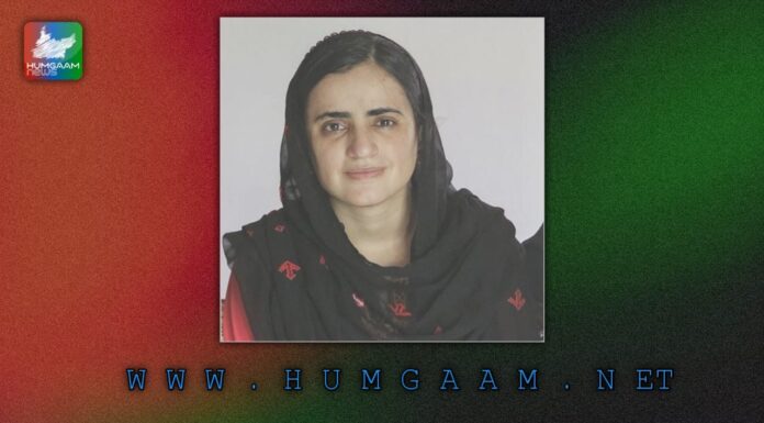 اس ملک میں عدالتیں، ججز اور قانون طاقتور حلقوں کے اشاروں پر چلتے ہیں۔ انصاف کا نظام مکمل طور پر یرغمال بن چکا ہے۔ نادیہ بلوچ